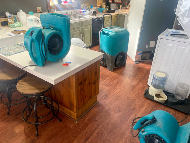 Best Local water damage restoration  in Whiteville, NC