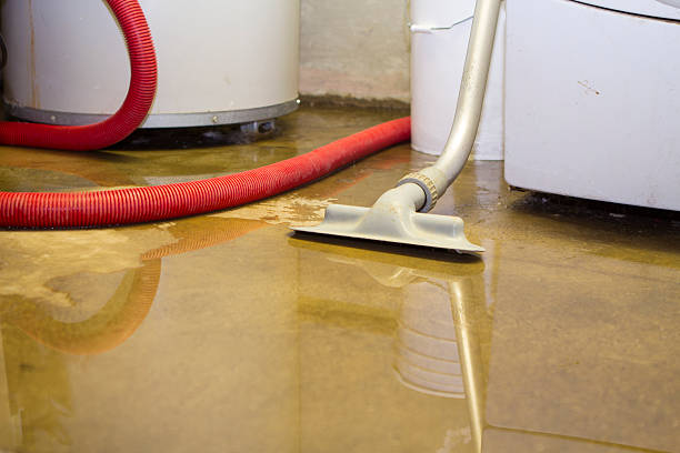 Best Local water damage restoration  in Whiteville, NC