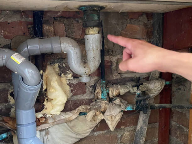 Best Fire Damage Restoration  in Whiteville, NC